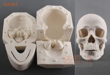 1:1 Gerçek Boyutu Kafatası 3D Silikon Fondan Kek Kalıpları Cadılar Bayramı Serisi Kafatası DIY Dekor Embosser Kalıp Kek Pişirme Araçları FM463