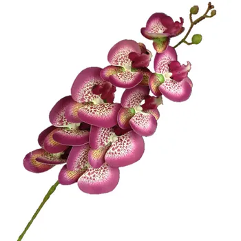 Bir Gerçek Dokunmatik Kelebek Orkide Çiçek Sahte Cymbidium PU Phalaenopsis Orkide Yapay Dekoratif Çiçekler için 28 Renkler
